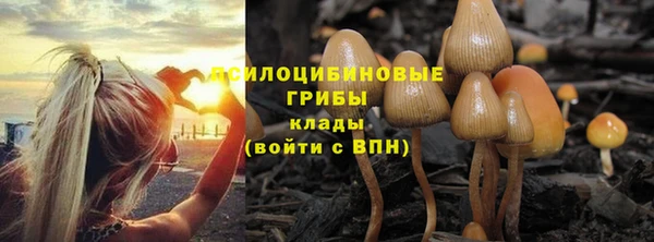 меф Белокуриха